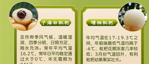 初夏賜予的見面禮 全國優質農產品推薦地圖來了 這些鮮味別錯過