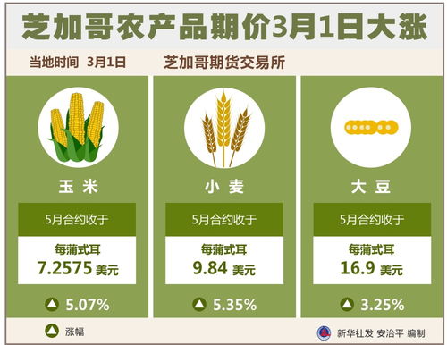 圖表 芝加哥農產品期價3月1日大漲