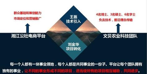 衡陽蓮湖灣|構建聚才引智新格局,促進星創天地大發展