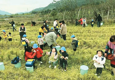 湖南津市:在家門口吃上“旅游飯”